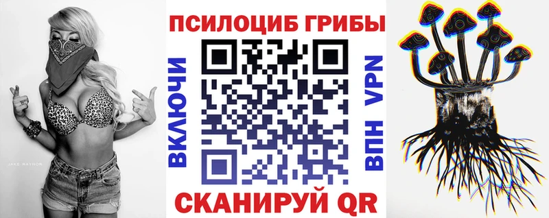 Галлюциногенные грибы Psilocybe  Сурск 